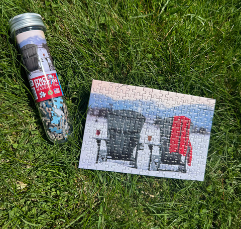 MLI Micro Puzzle