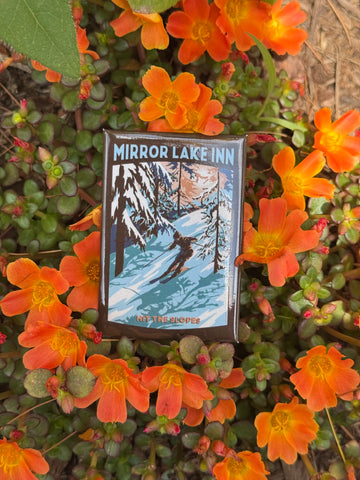 MLI Ski Magnet