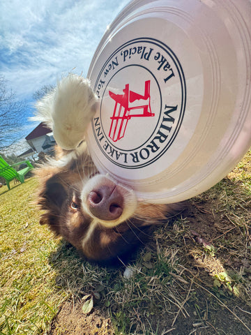 MLI Frisbee